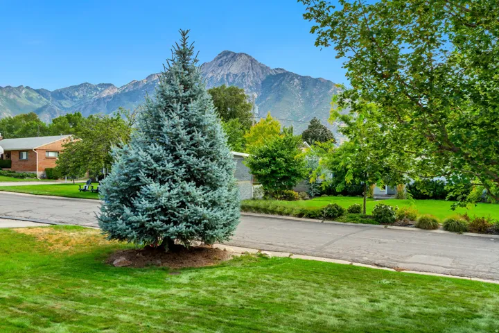 Expansive green lawn with mature trees and mountain scenery