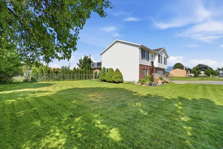 Expansive grassy yard with mature trees and a chain-link fence