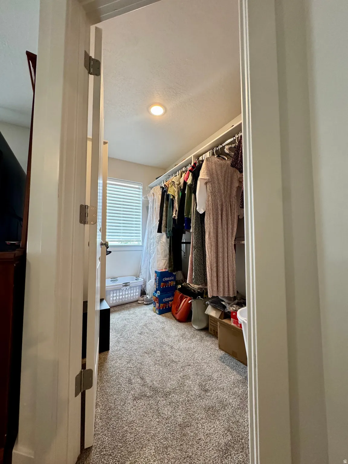 Recessed lighting illuminates a closet featuring plush carpeting, a window with blinds, and built-in shelving with hanging rods