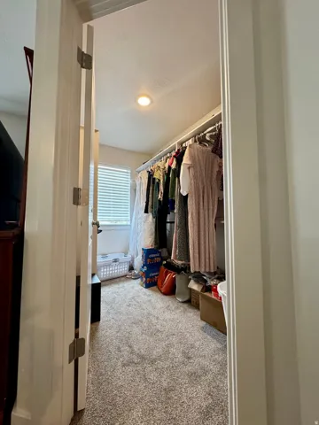 Recessed lighting illuminates a closet featuring plush carpeting, a window with blinds, and built-in shelving with hanging rods