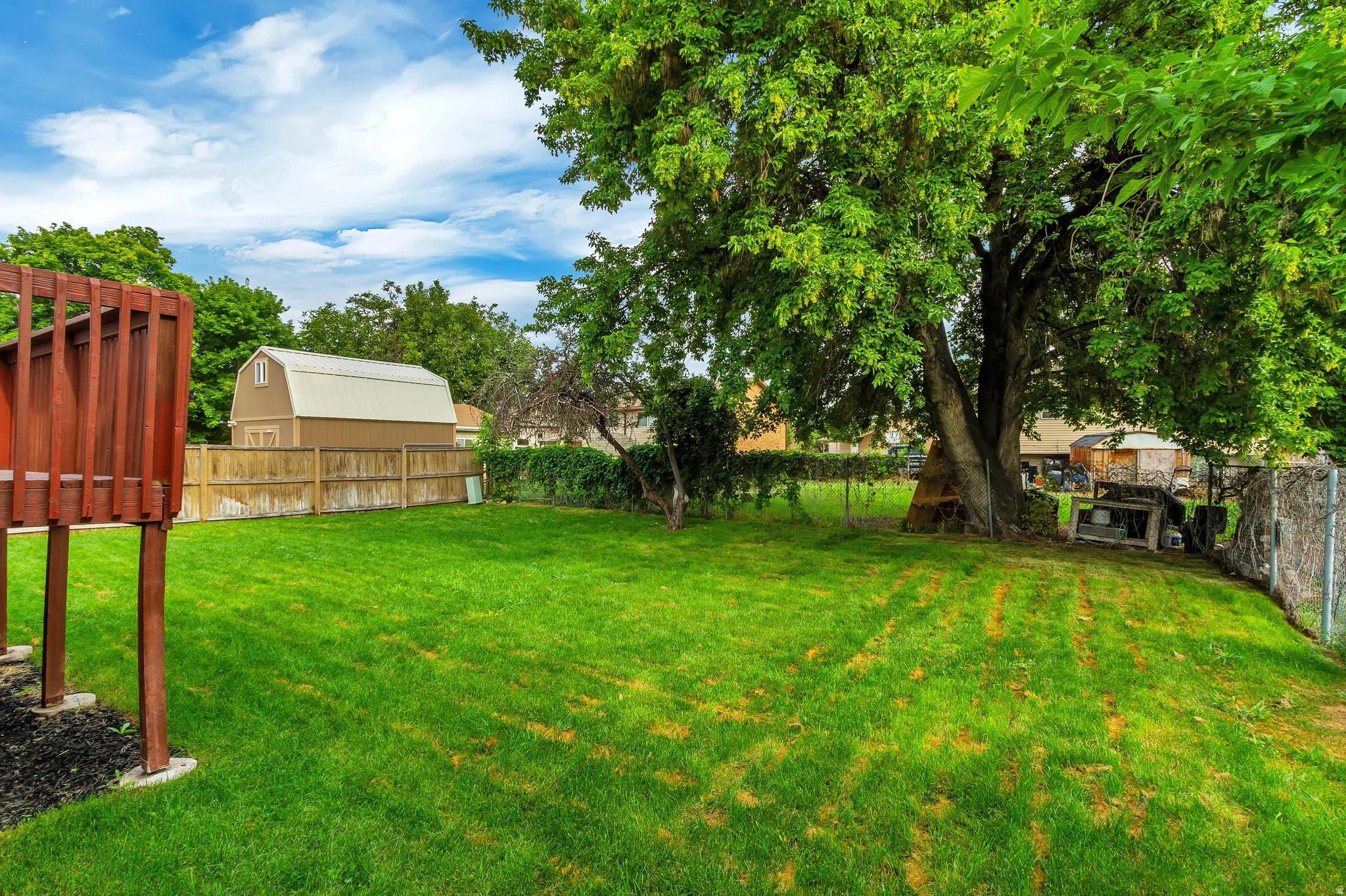 Expansive green lawn with mature trees and a privacy fence