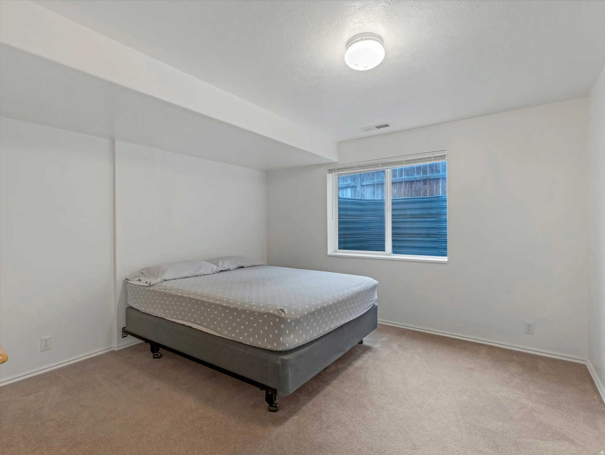 Neutral wall paint, plush carpeting, ceiling-mounted light fixture, and a window with horizontal blinds