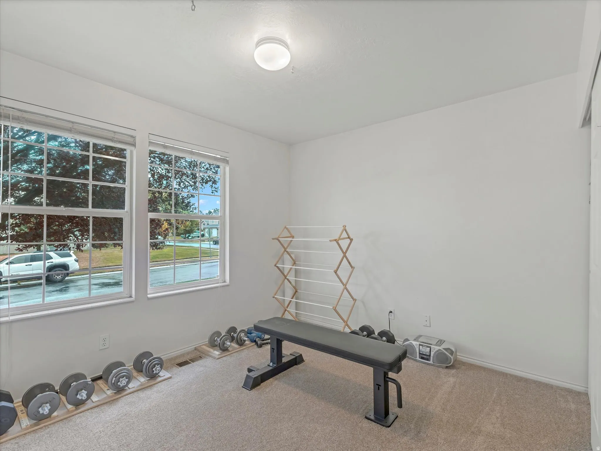 Two large windows with blinds, wall-to-wall carpet, and a ceiling-mounted light fixture