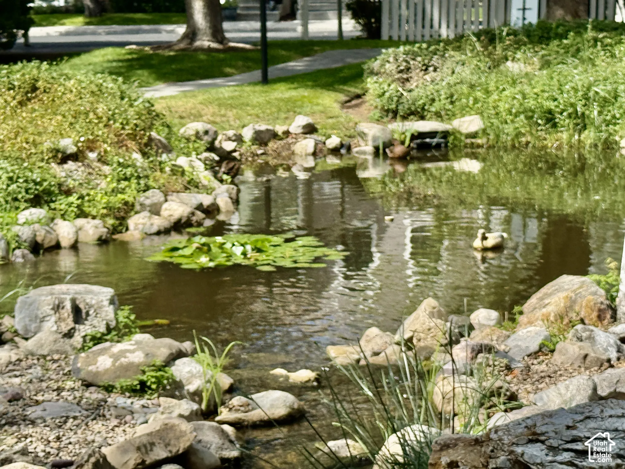 Water feature with natural rock edging, aquatic vegetation, and surrounding greenery