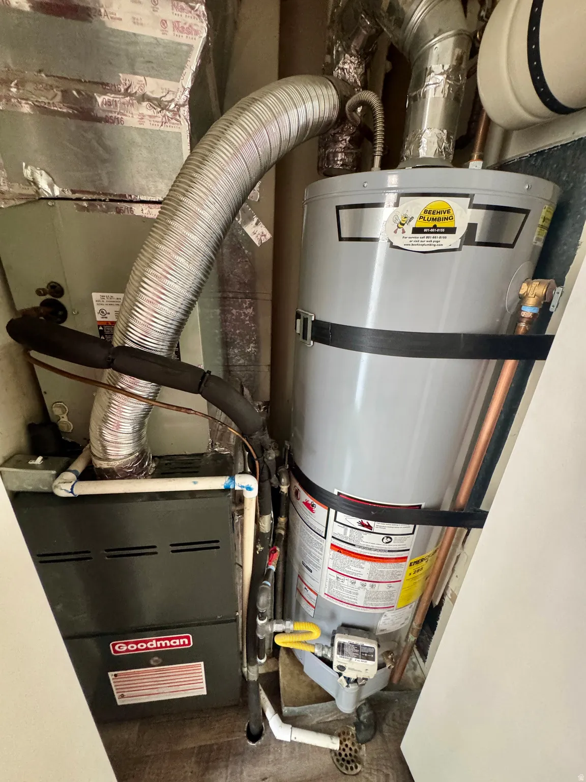 Water heater and furnace systems