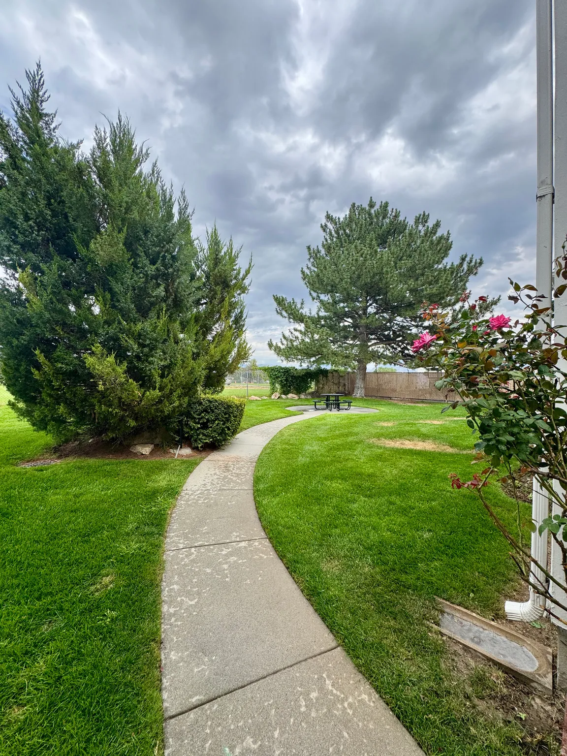 Curved concrete pathway leading to a green lawn area with mature trees and shrubbery