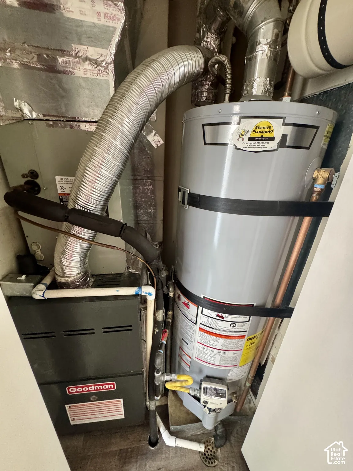 Water heater and furnace systems