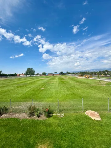Manicured green lawn with a chain-link fence border