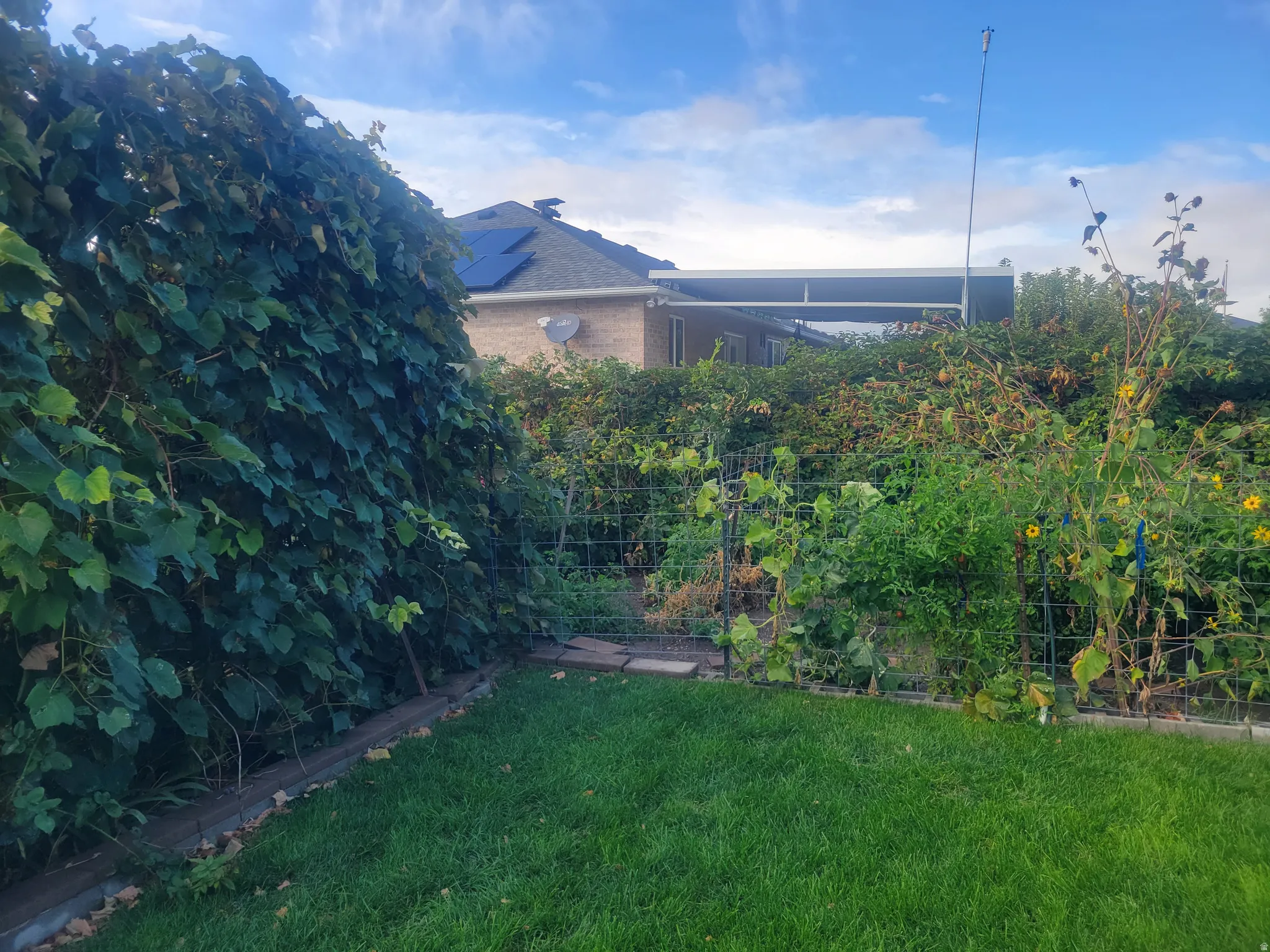 Expansive green lawn with a garden area featuring trellises and mature plantings