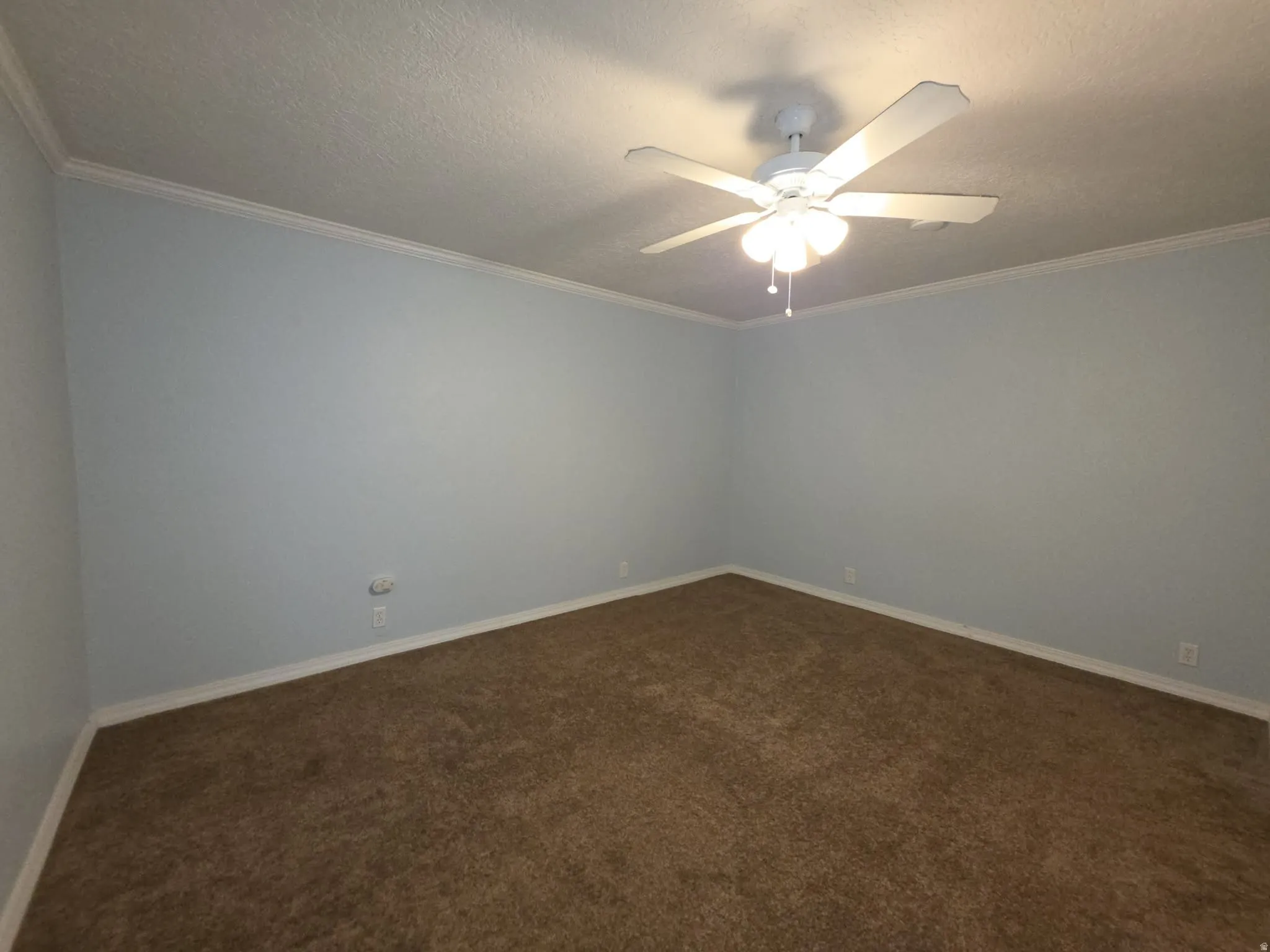 Spacious room with plush brown carpeting, light blue wall paint, and white crown molding