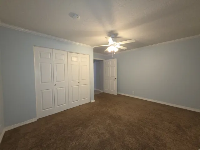 Wall-to-wall carpeting, ceiling fan with integrated lighting, bi-fold closet doors, and crown molding