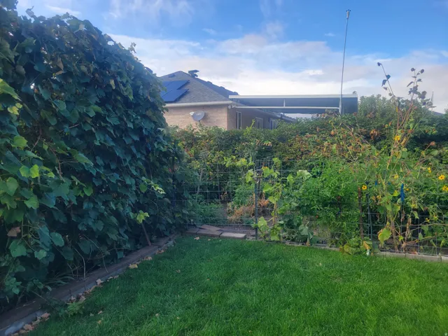 Expansive green lawn with a garden area featuring trellises and mature plantings
