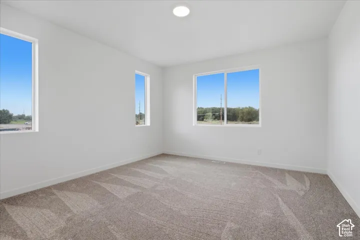 Spacious Primary Bedroom on Main Floor!