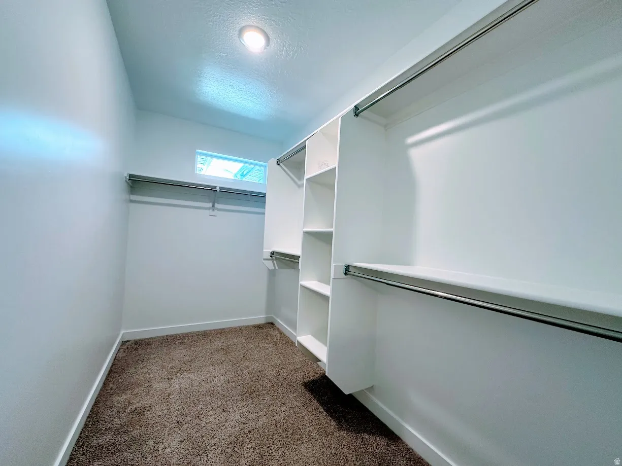 Walk-in closet featuring carpeted flooring, built-in shelving, chrome hanging rods, and a high window