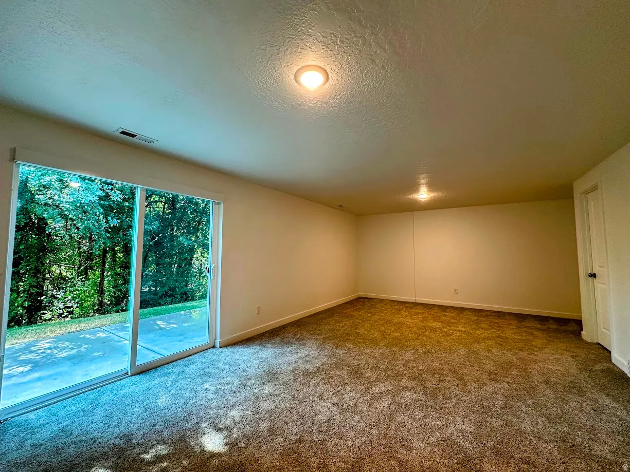 Sliding glass door, wall-to-wall carpeting, overhead lighting, and a white interior door