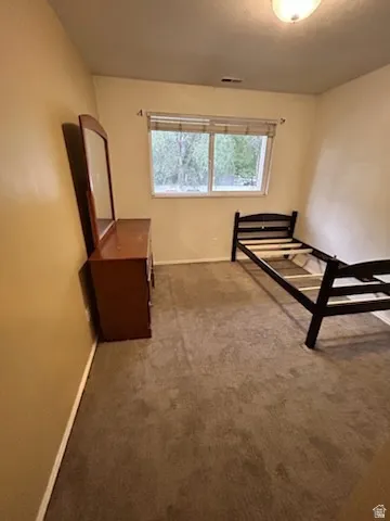 Window with horizontal blinds, overhead ceiling light fixture, and wall-to-wall carpeting