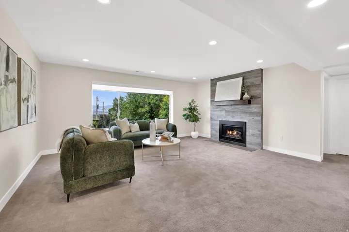 Middle  level living