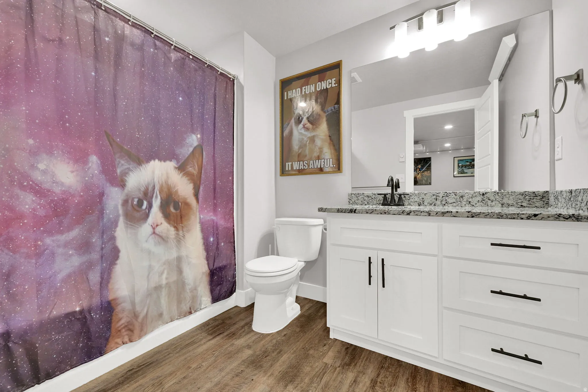Basement bathroom