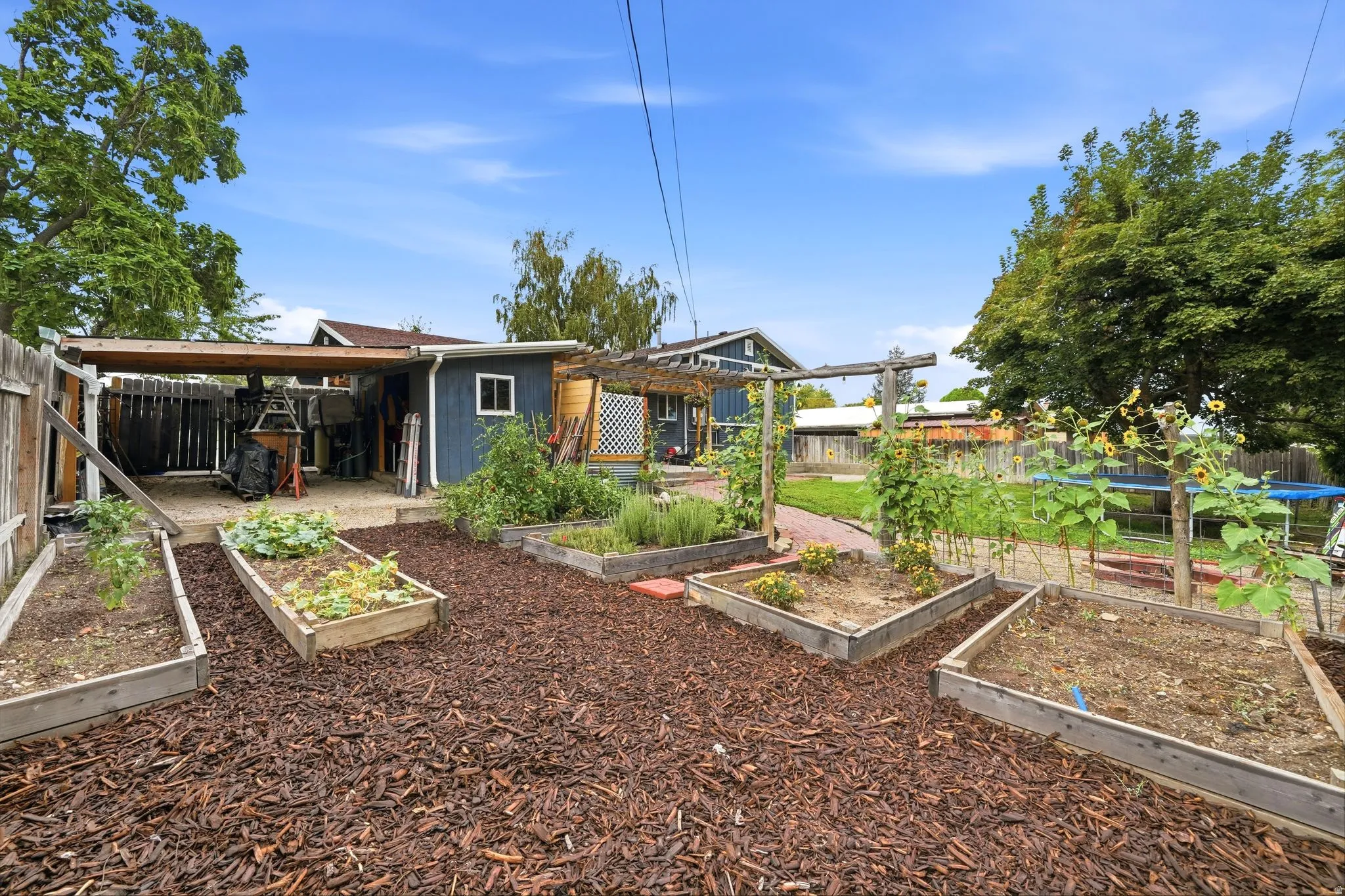 Productive backyard garden featuring multiple raised planting beds with wood-finish frames, mulched ground cover, mature trees providing natural shade, and a detached outbuilding with blue siding