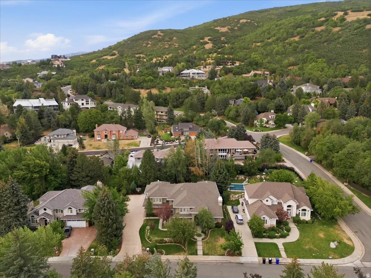 Hillside residential setting with mature trees and paved roadways
