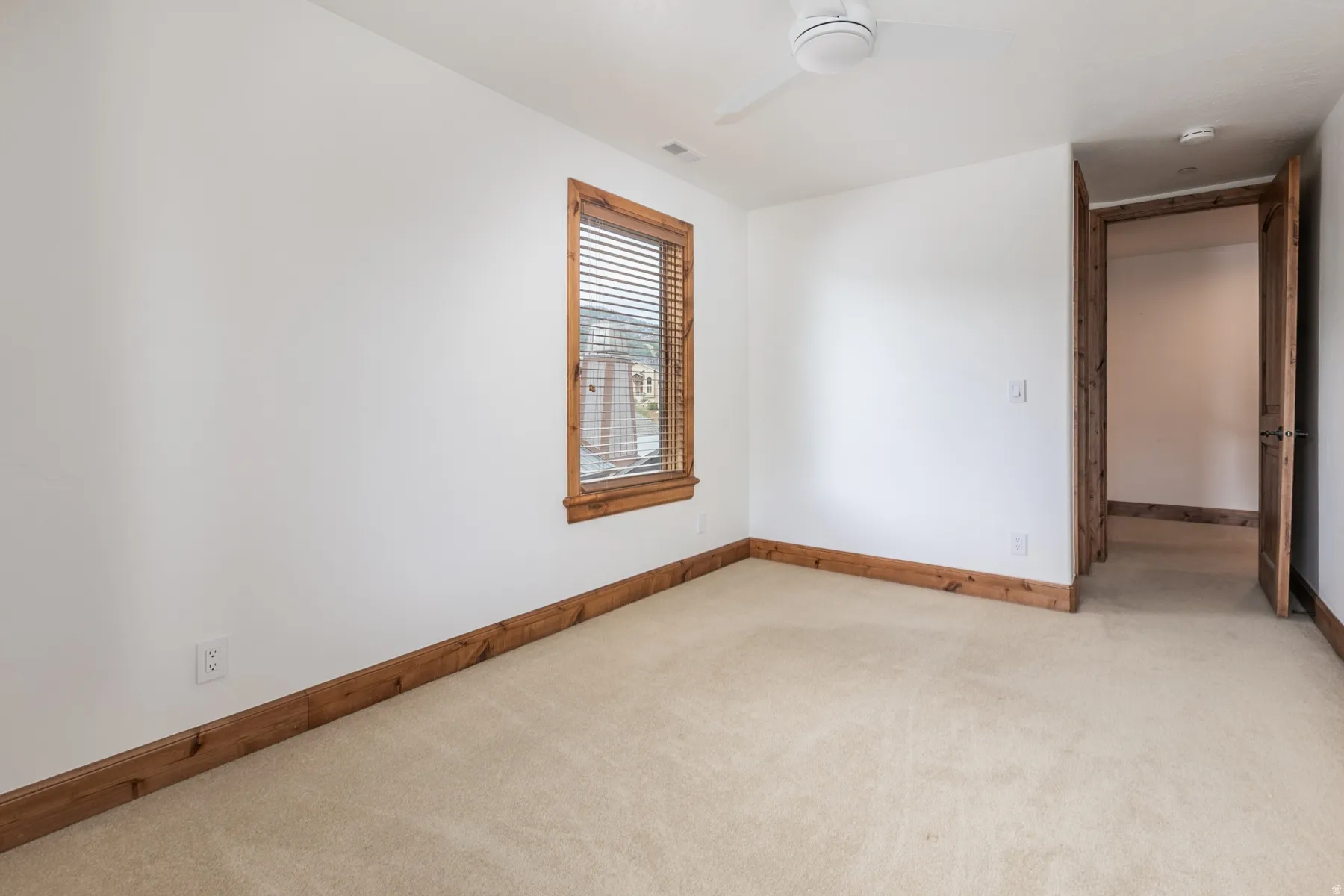 Bright corner bedroom with wood-trimmed wainscoting, neutral carpeting, and abundant natural light from a wood-framed window