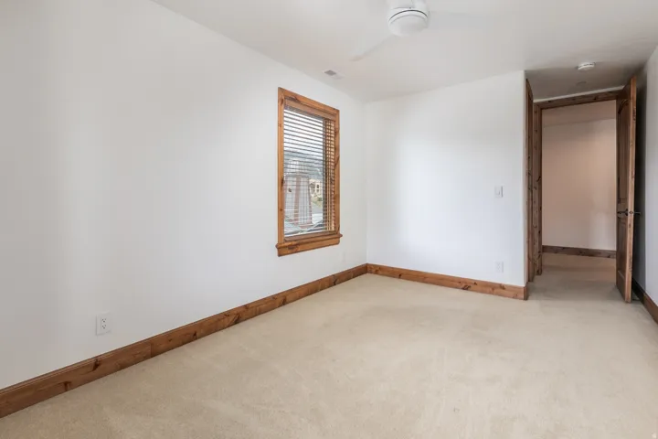 Bright corner bedroom with wood-trimmed wainscoting, neutral carpeting, and abundant natural light from a wood-framed window