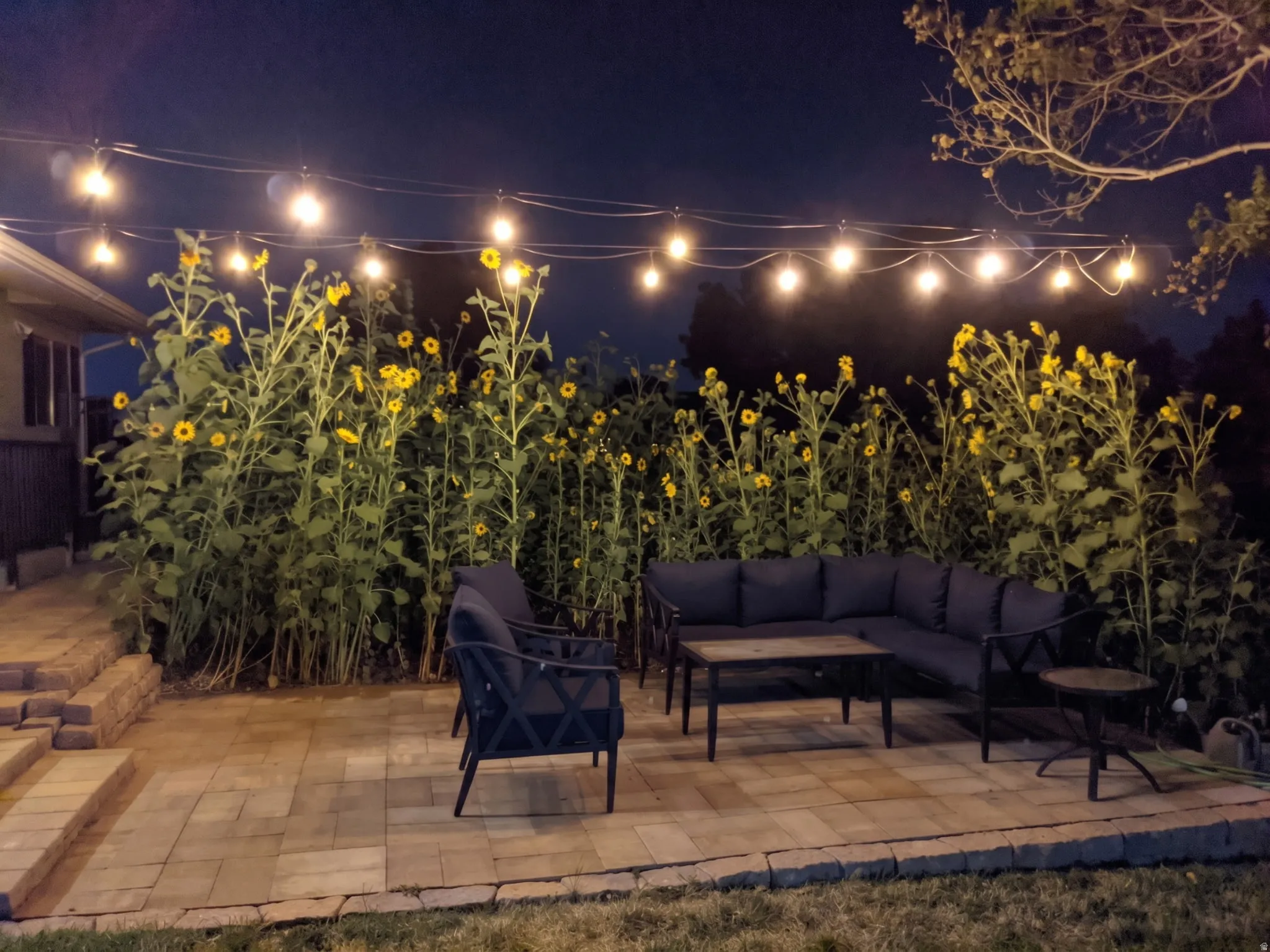 Patio at its prime!