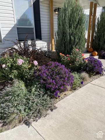 5954 W Canterbury Park Cir, Highland, Utah 84003
