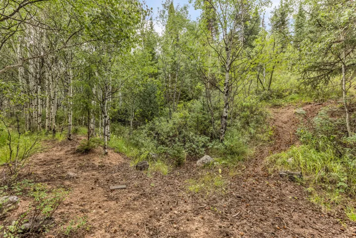 4611 Conifer Dr #611, Oakley, Utah 84055
