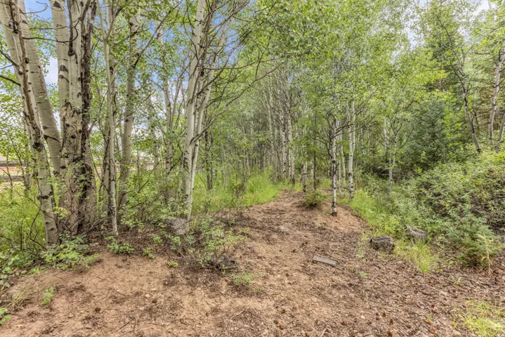 4611 Conifer Dr #611, Oakley, Utah 84055