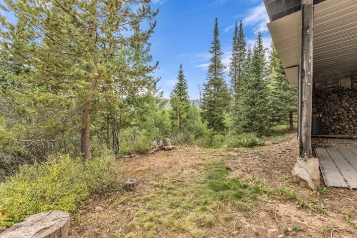 4611 Conifer Dr #611, Oakley, Utah 84055