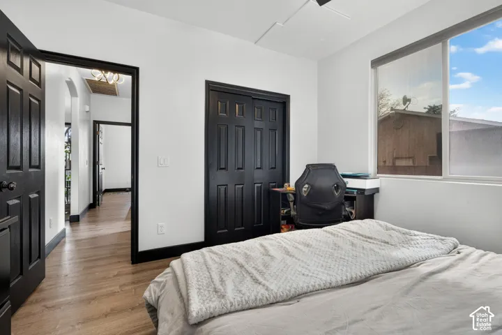 Bright bedroom showcasing hardwood flooring, black six-panel entry door, and large window with natural light