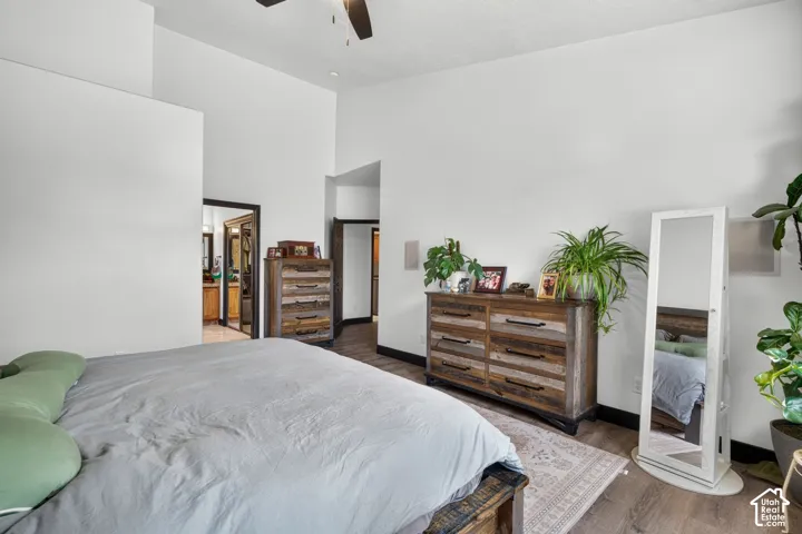 Spacious primary bedroom featuring wood-finish flooring, abundant natural light, and ample closet storage