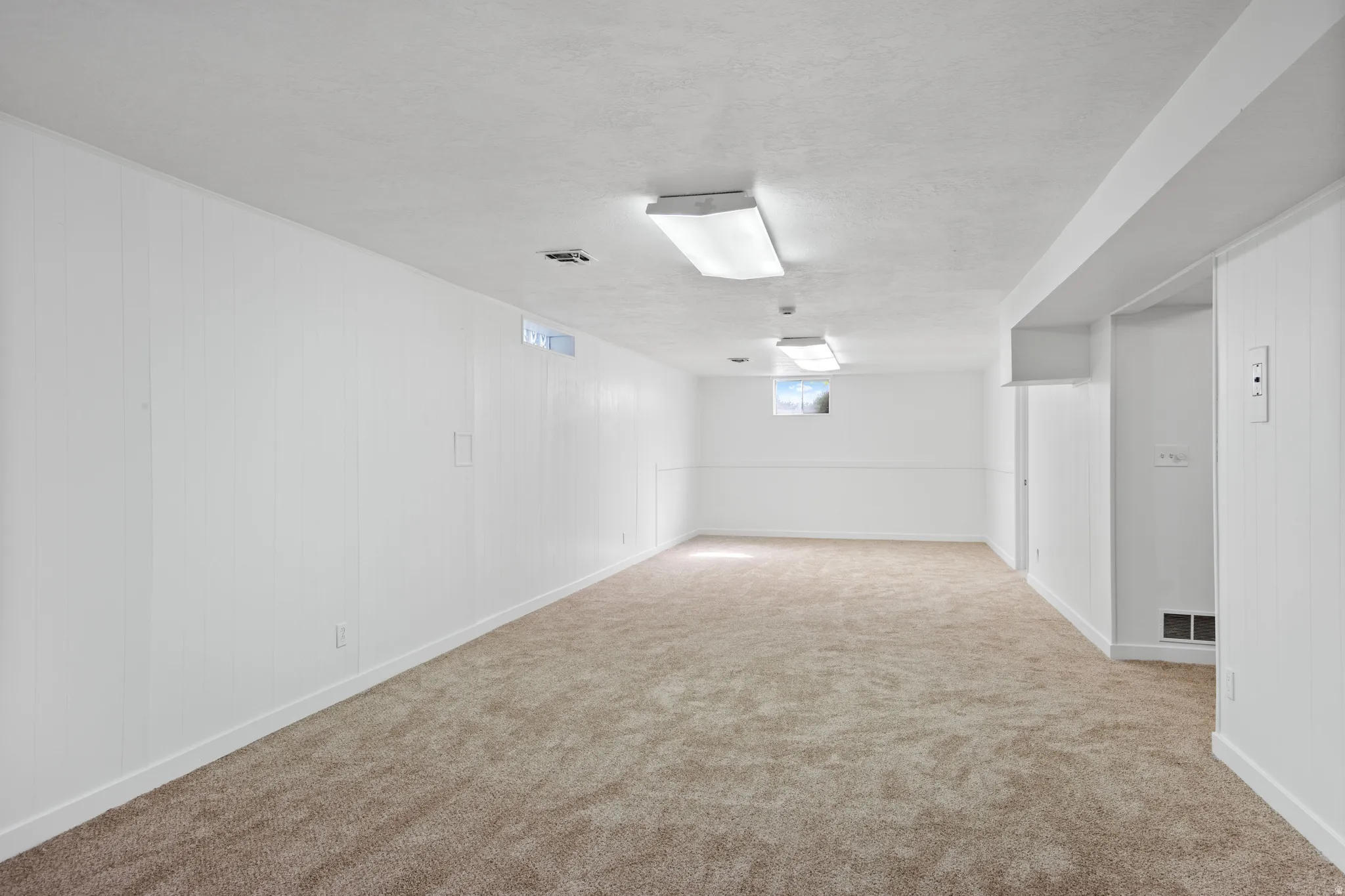 Expansive room featuring neutral-toned carpet, white paneling, white painted ceiling, and overhead fluorescent lighting