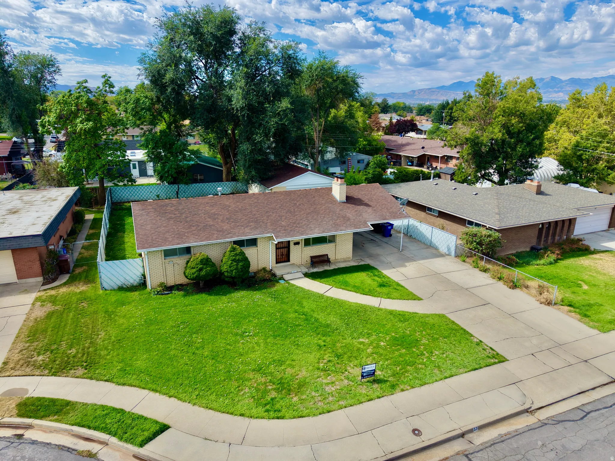 Expansive front lawn with mature trees and a concrete driveway