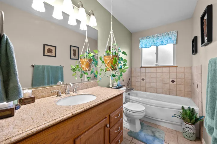 Master bathroom featuring a wood-finish vanity with dual-sink configuration, stone-tile countertop, and brushed nickel fixtures