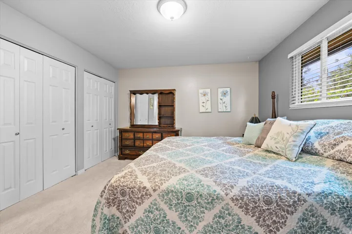 Spacious primary bedroom featuring light wood-finish flooring, dual closets with six-panel doors, and abundant natural light from multi-pane windows with plantation shutters