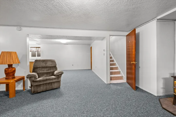 Spacious basement recreation area with plush carpeting throughout, recessed lighting, and abundant natural light from windows