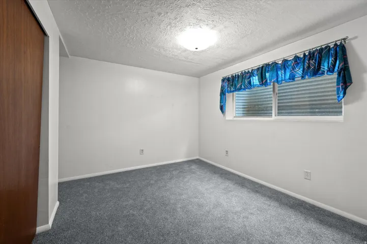 Wall-to-wall carpeting, wood-finish closet door, recessed window, and flush mount ceiling light