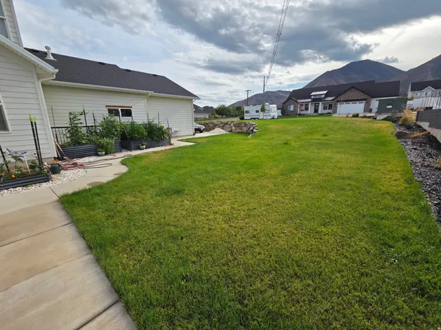 Expansive lawn with lush green turf, concrete patio with curved landscaping beds, and mature trees providing natural screening