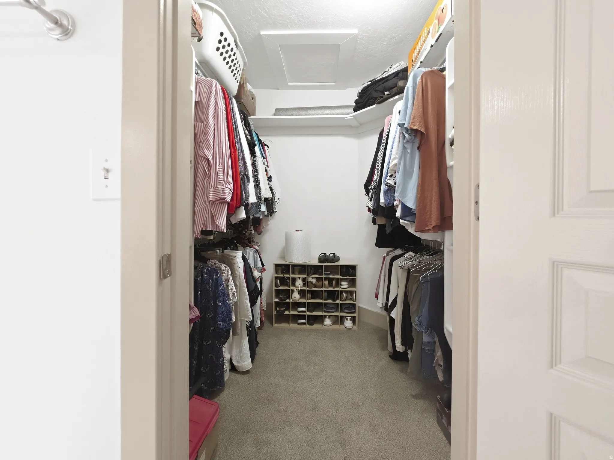 Walk-in closet featuring carpet flooring and white walls