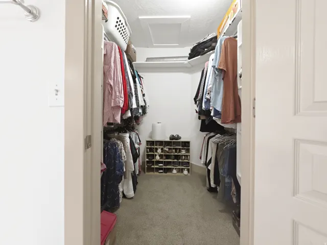Walk-in closet featuring carpet flooring and white walls