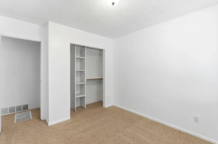 Carpet flooring, white walls, built-in closet shelving, ceiling-mounted light fixture, white trim