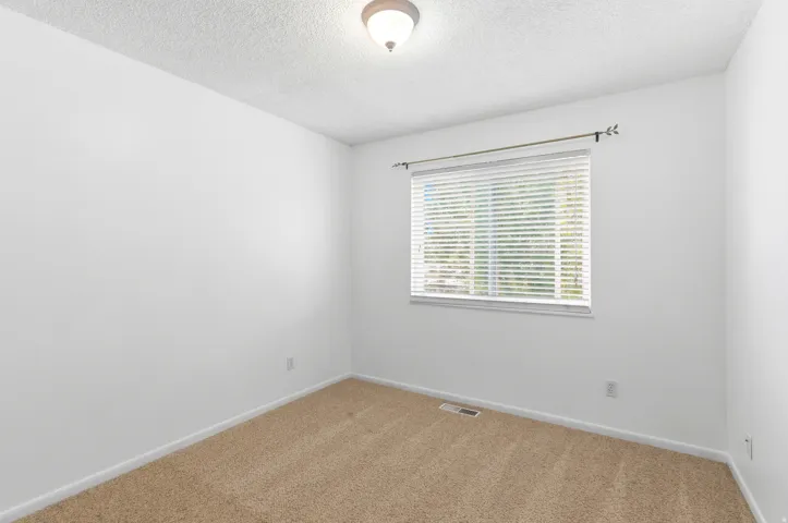 Window with blinds, ceiling-mounted light fixture, and textured carpeting