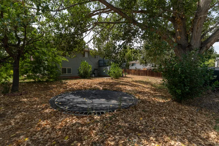 Expansive backyard with mature shade trees and established landscaping featuring mulched grounds and a circular fire pit area, complemented by a single-story residence with horizontal siding visible in the background