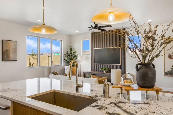 Kitchen island with an undermount sink, a gooseneck faucet, and integrated appliances