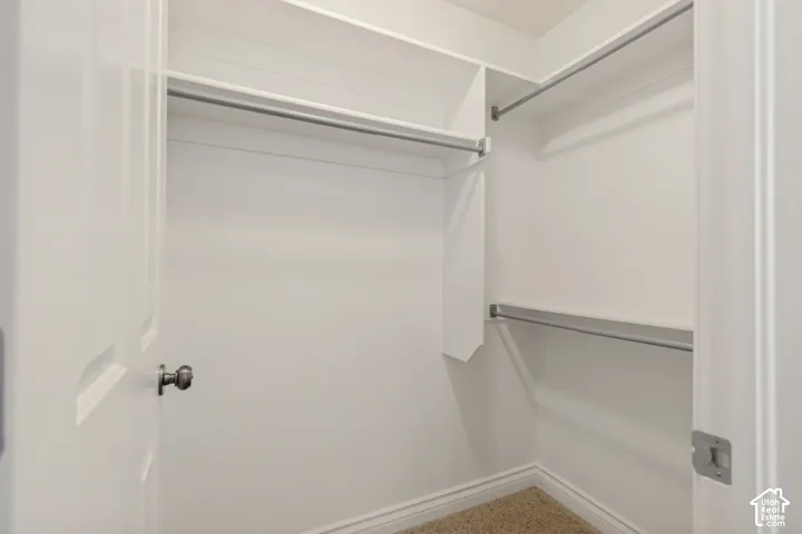 Walk-in closet with built-in shelving, hanging rods, and carpet flooring