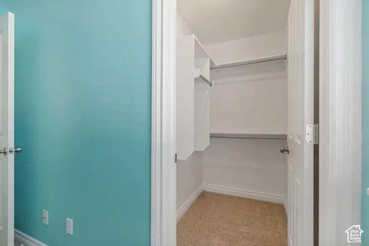 Walk-in closet featuring built-in shelving, dual hanging rods, and neutral carpet flooring