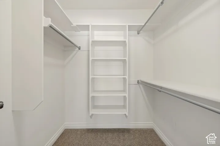 Walk-in closet featuring built-in shelving, multiple hanging rods, white walls, white trim, and a carpeted floor