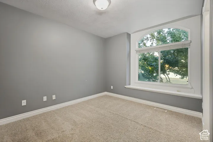 Arch-top window with blinds, carpet flooring, and a flush-mount ceiling light